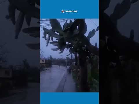 Contramaestre y Santiago de Cuba amanecen con graves daños tras el paso del huracán Melissa