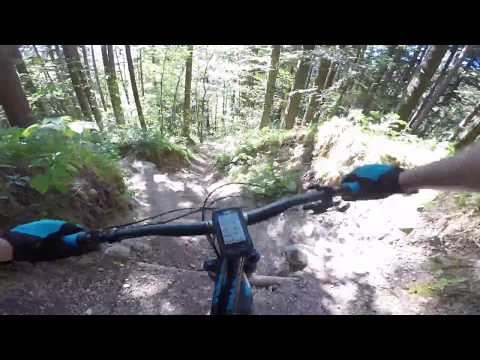 Maximiliansweg | Downhill nach Lenggries