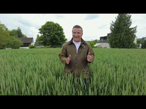 Österreich | NutribioN macht Luftstickstoff pflanzenverfügbar – bis 40 kg/ha!