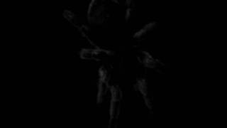 Going Into the Light - Dethcentrik