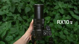 SONY 사이버샷 DSC-RX10 V (정품)_동영상_이미지