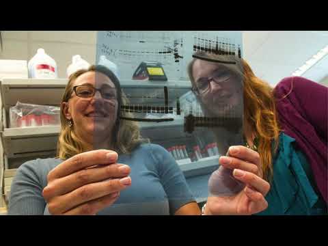 Dr  Lednev with UAlbany students Samantha Giuliano and Jalissa Thomas