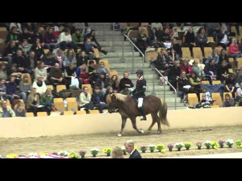 WorldTölt 2013 - Úrslit í fjórgangi