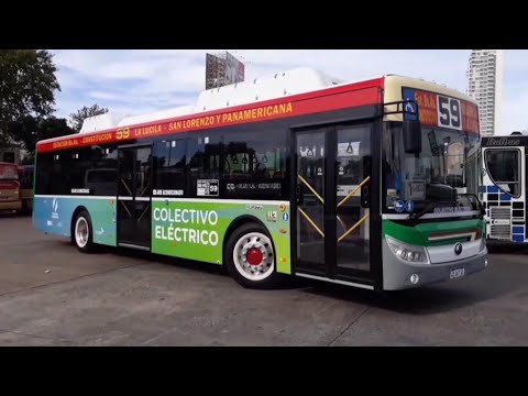 Todas las líneas de colectivos de Buenos Aires| Fotos no mias