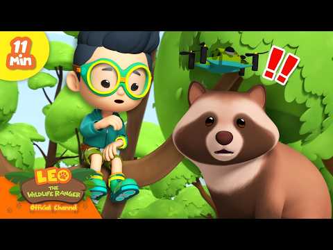Is the Tanuki a Shapeshifting Spirit?! | Leo the Wildlife Ranger | Educational Animal Cartoons - Kids TV Series, Kingdom Kids Zone - Leo the Wildlife Ranger - Official Channel