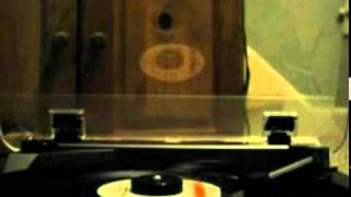 The Joe Perry Project:   Buzz Buzz (Vinyl)