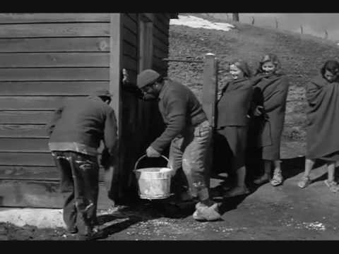 Stalag 17: Best of Shapiro and Animal