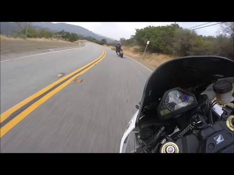 Harley Canyon Shredding || ViralHog