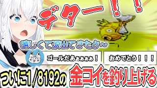 激動の3838匹目！金コイは突然やってきた 金コイ7日目にて最終回【白上フブキ】 ホロライブ切り抜き