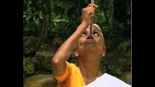 Nokuvidya: A Delicate Dance of the Wooden Puppets 