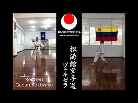 Kihon JKA para presentar 3er Kyu