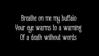 Alt-J (∆) - Buffalo feat. Mountain Man (Lyrics on Screen)