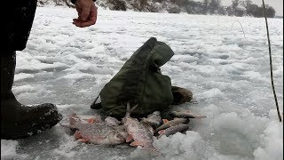 Вертолет для ловли леща на оке