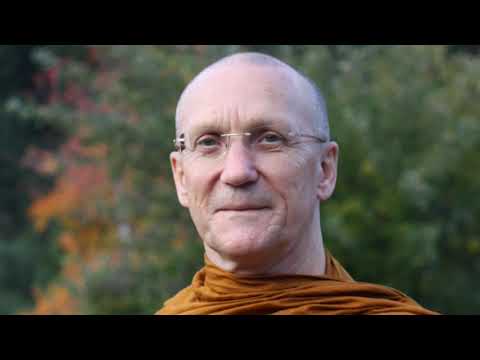 Foundations of Mindfulness | Ajahn Pasanno