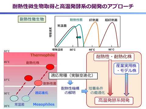 【山口大学OC2025／農学部／生物機能科学科】12 応用微生物学分野