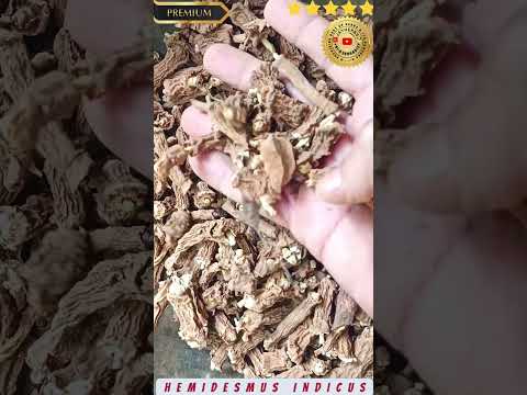 Indian Sarsaparilla Roots Anantmool Narnari Anantmul Cultivated