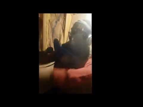 Local Star Myles Studio Performance #B3S