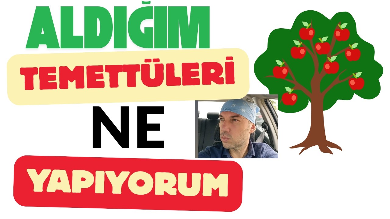 Düşüşleri Alım Fırsatına Çevir Aldığım Temettüleri Ne Yapıyorum Batacak Deniyordu Ama Zengin Etti