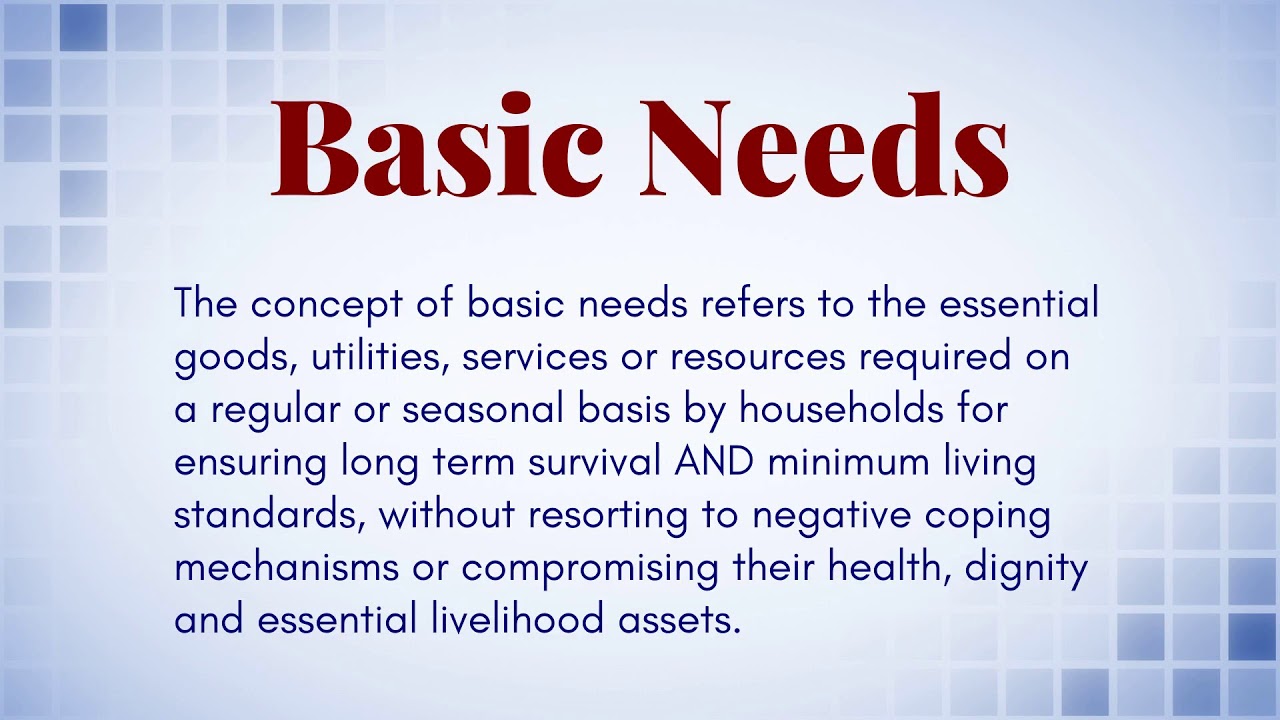 What Is The Definition Of (Basic Needs)?