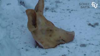 Депутати з різних фракцій висловились на підтримку аграріїв та законопроекту №7403-2