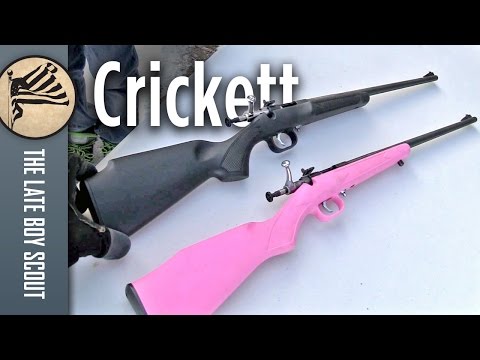 Keystone Crickett Rifle 22LR Review: Best Gift Of 2024?