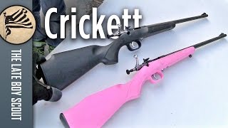 Crickett Rifles Are Awesome!