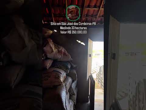 🌿 SÍTIO TIMBAÚBA – RICO EM ÁGUA E PRONTO PARA PRODUÇÃO NO CARIRI PARAIBANO 🌿