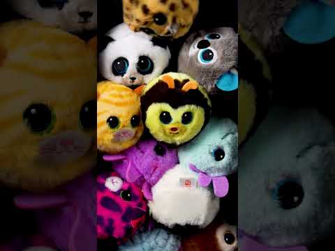 Beanie Bouncers - Get your fill of fun!