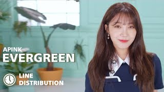 Apink - Evergreen : Line Distribution (Color Coded Bars)