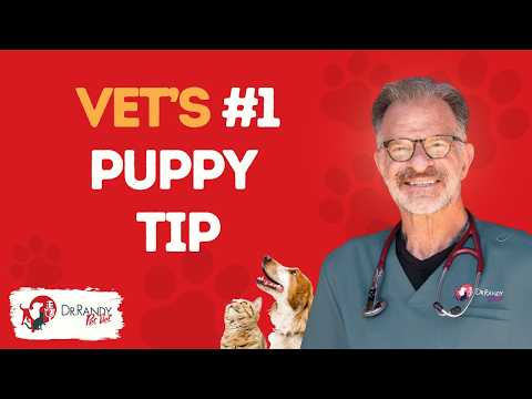 The Secrets to a HEALTHY PUPPY