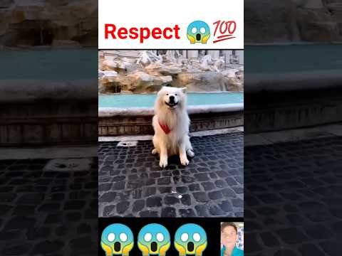 Respect😱#respect💯😱