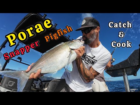 Porae, Pigfish and Snapper Catch and Cook with Stef the Maori 
