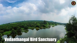 preview picture of video 'Vedanthangal Bird Sanctuary | Kanchipuram | Into The Nature'
