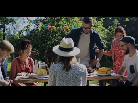 Discover Your Irish Heritage with My Ireland Heritage