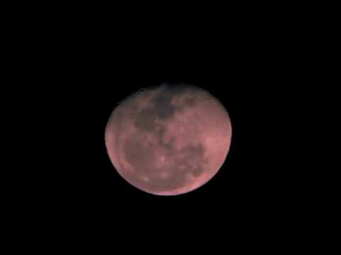 Prada - Gab (REMIX  Ynw Melly - Blue Balenciagas)