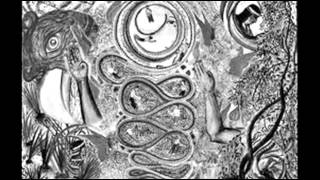 Ando Meio Desligado - Os Mutantes