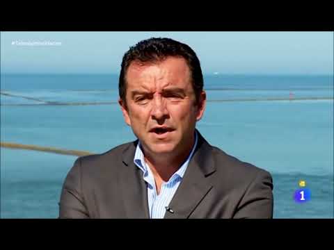 Trafico de droga en Cadiz  Los herederos de El Niño   Aduanas SVA