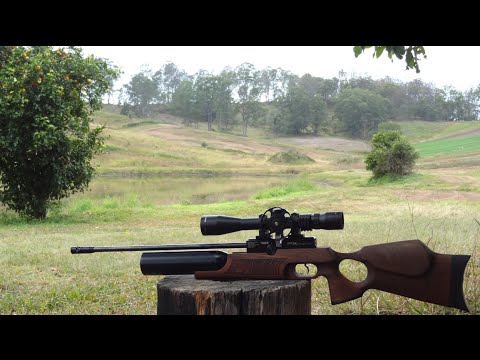 FX Royale 400 - New Minelli stock