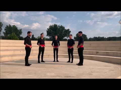 Un trandafir crește la firida mea - Ansamblul Dionisos