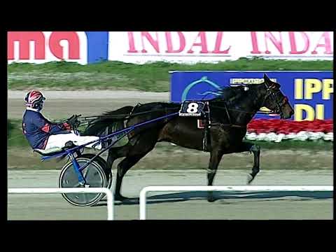 Trotto 13/12/2020 - 2ª corsa