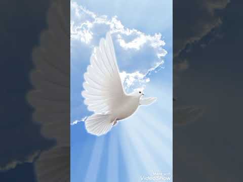 Tigan Florin - Eu mă culc și adorm in pace