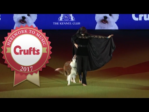 Heelwork To Music Competition Winner | Crufts 2017