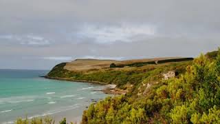 preview picture of video 'Seal Colony Walk - Cape Bridgewater'