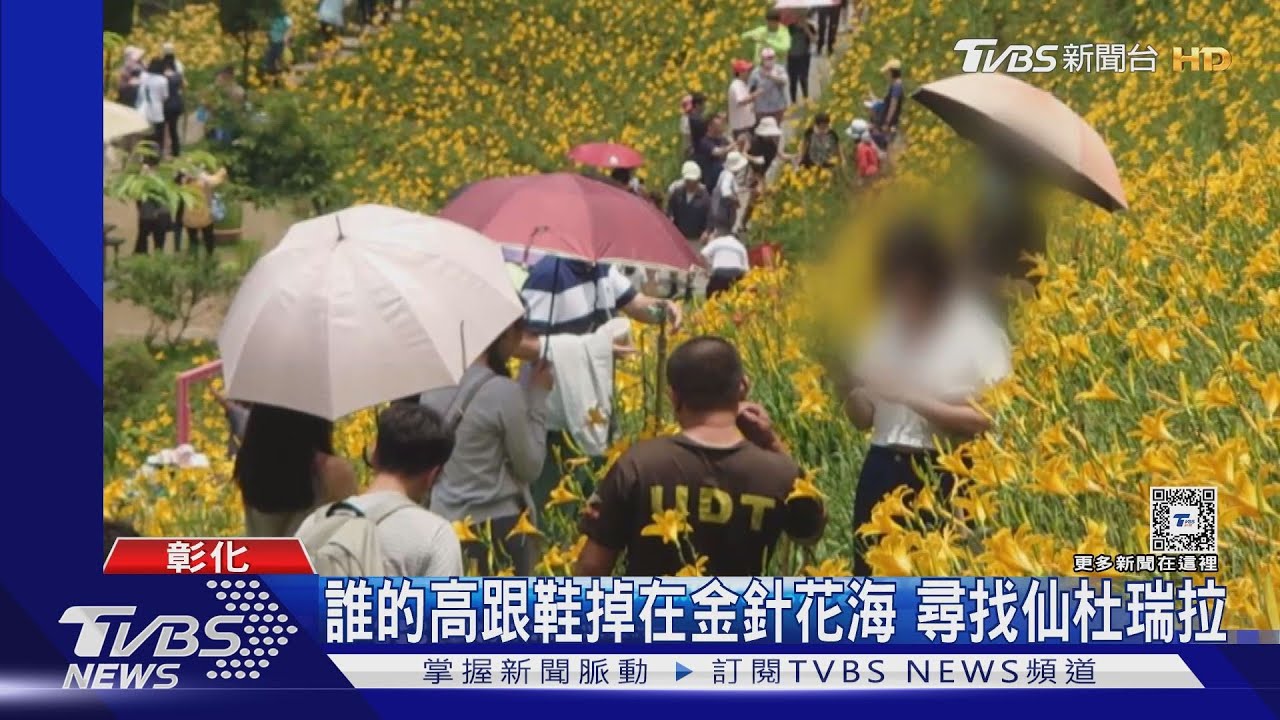 誰的高跟鞋掉在金針花海?! 尋找仙杜瑞拉