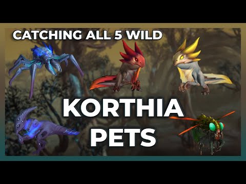 Catching all 5 Wild Battle Pets in Korthia | Pet Battles | Shadowlands