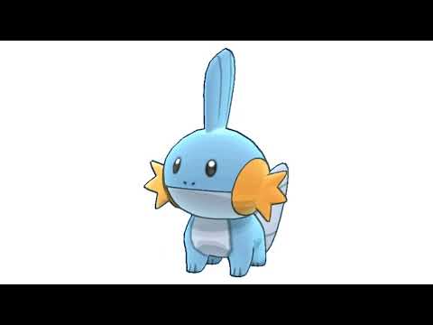 mudkip