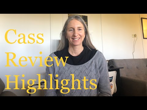 Wat het Cass Review vond — een snel overzicht
