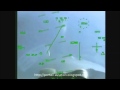 Dogfight Rafale Vs F22 Close Combat