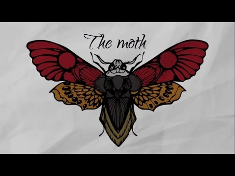 Blame Zeus - The Moth (official lyric video)