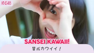 《海外14人で歌ってみた》【KNS48】 「賛成カワイイ！」 - Sansei Kawaii! «7th Single SENBATSU»